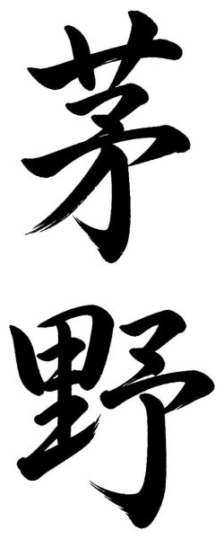 茅野