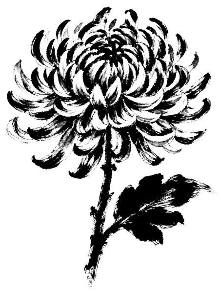 一輪の菊