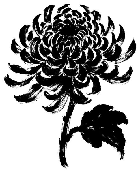 一輪の菊