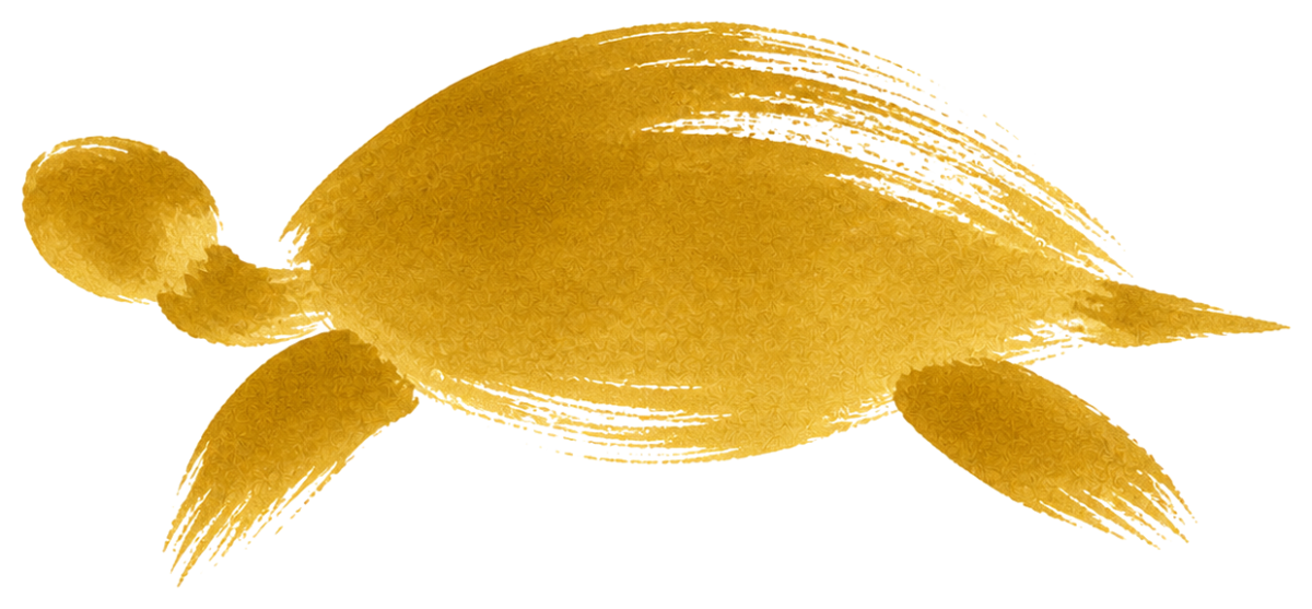 金の亀