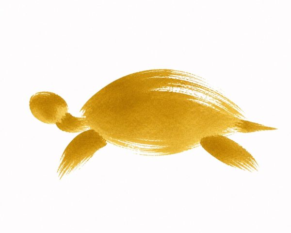 金の亀