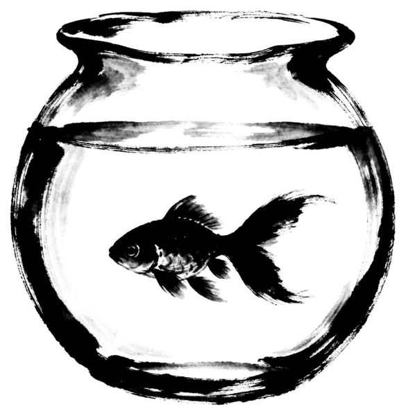 金魚鉢