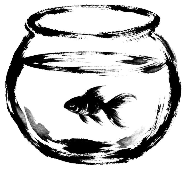 金魚鉢