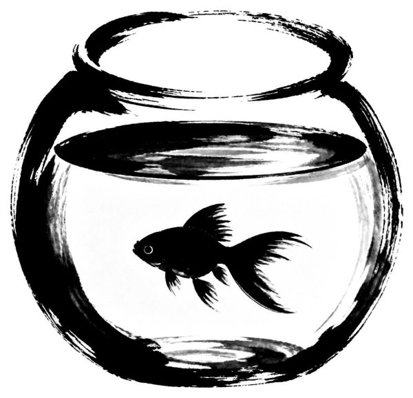 金魚鉢