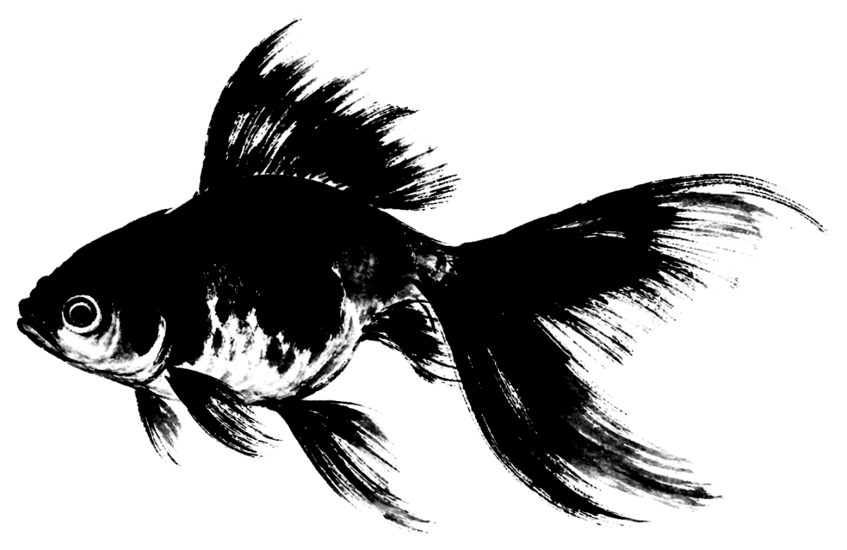 金魚の絵の筆文字フリー素材