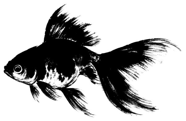金魚の絵