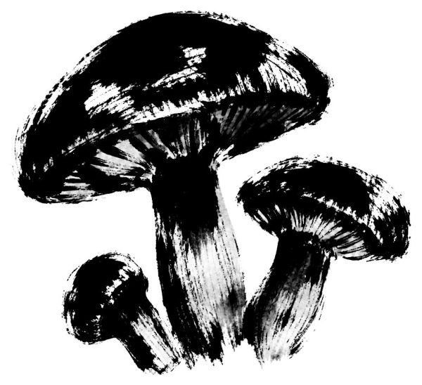 きのこの絵