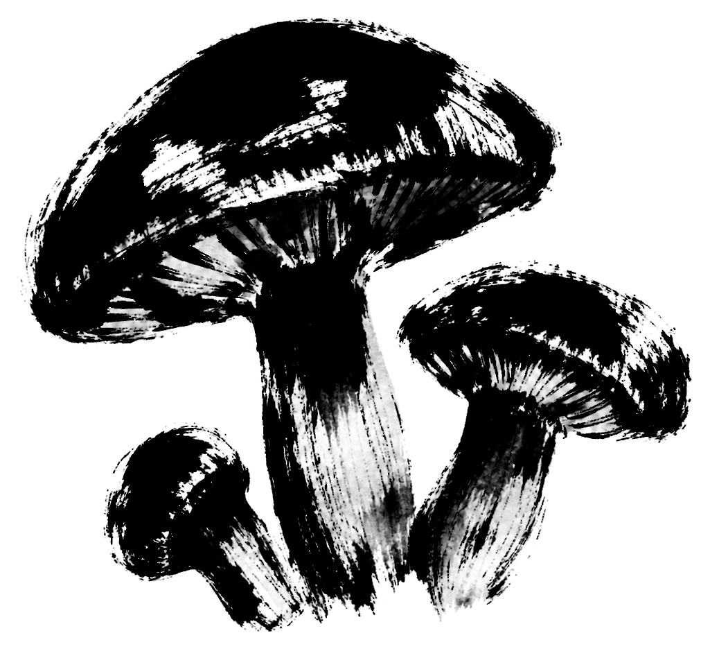 きのこの絵