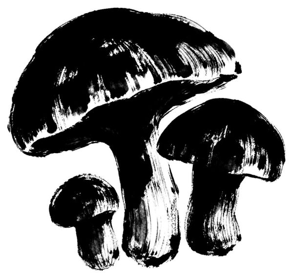 きのこの絵