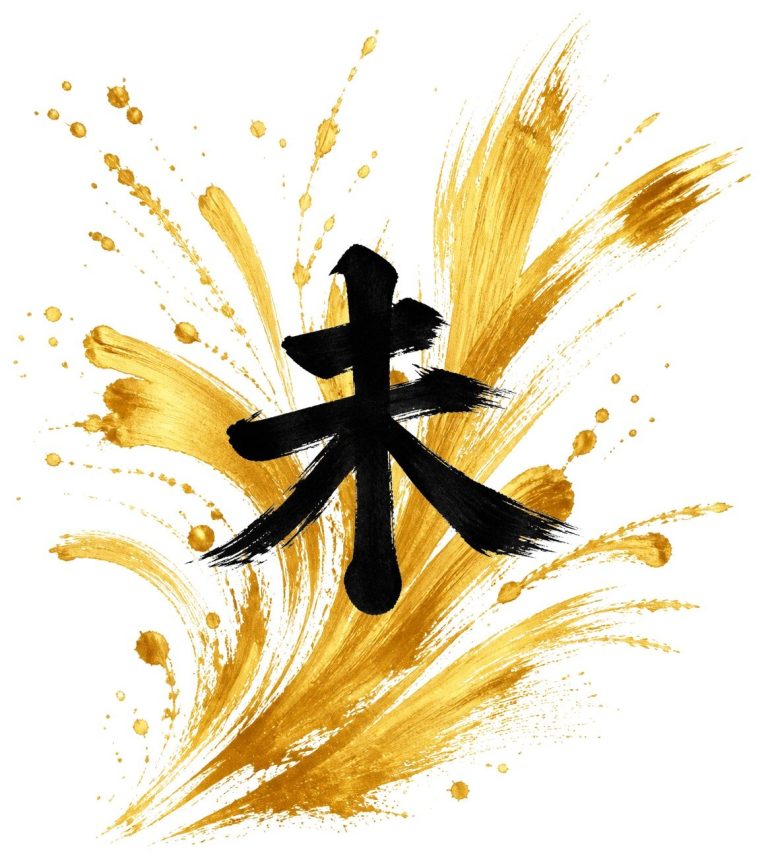 未の金彩（飛沫）