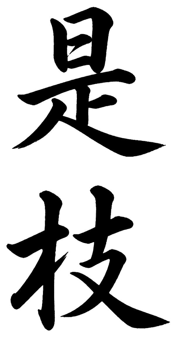 是枝