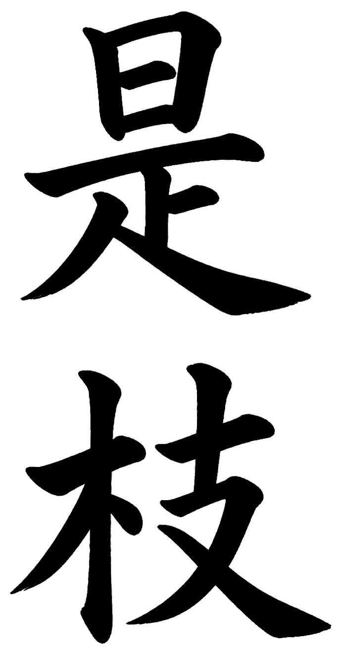 是枝
