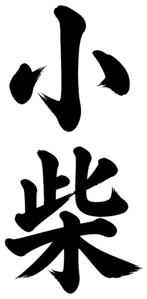 小柴
