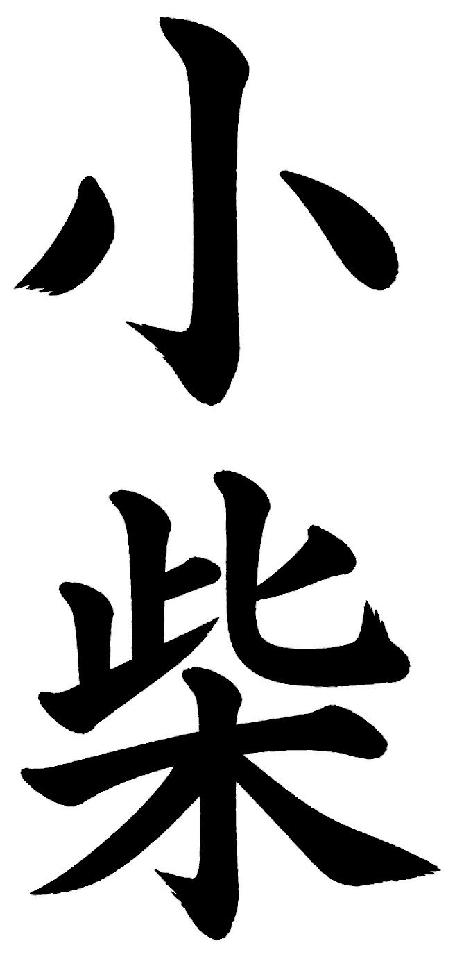 小柴