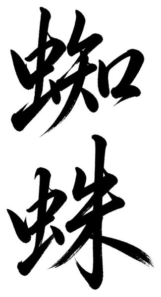 蜘蛛