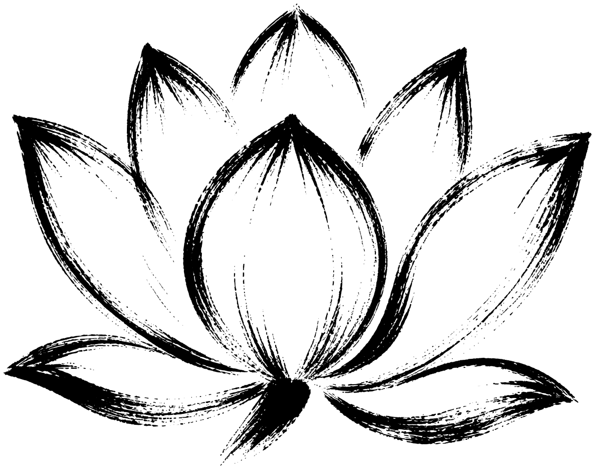 蓮の絵