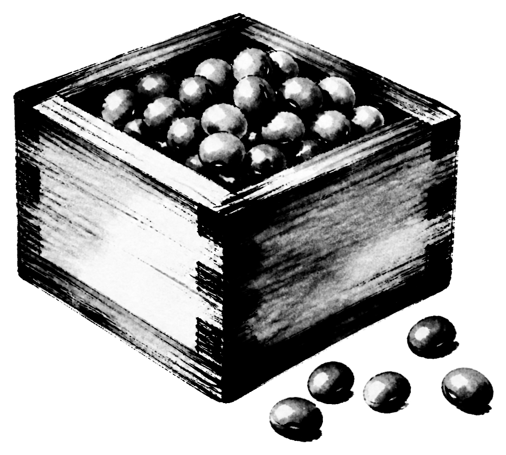 豆まきの升の筆文字フリー素材