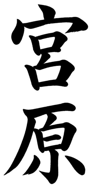 皆川