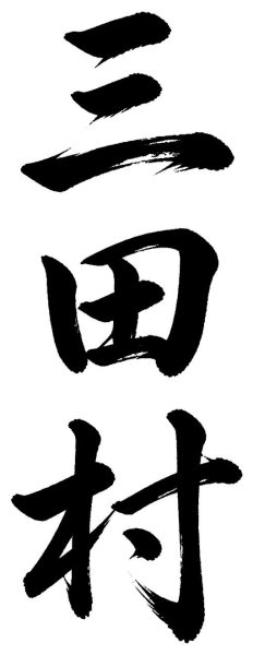 三田村