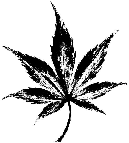 紅葉の絵