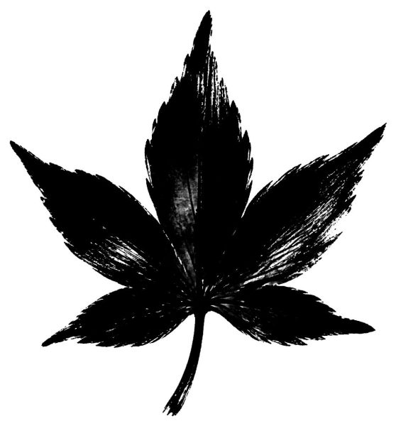 一枚の紅葉