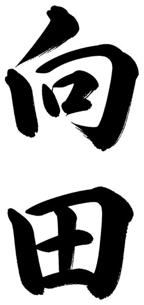 向田