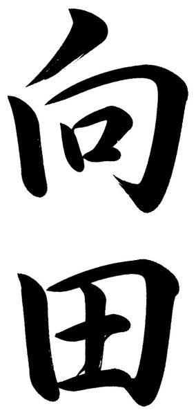 向田