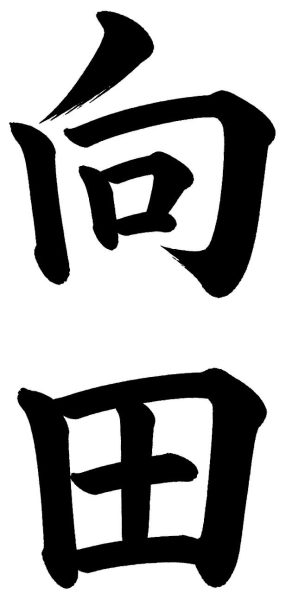 向田