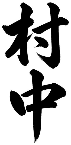 村中