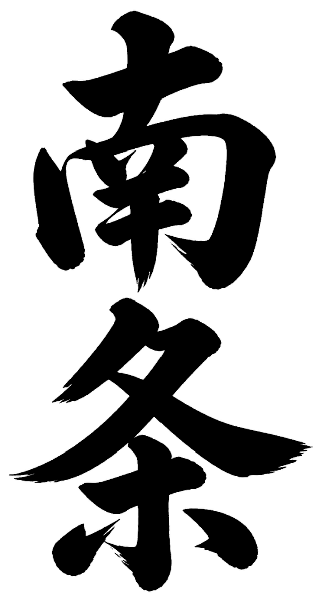 南条