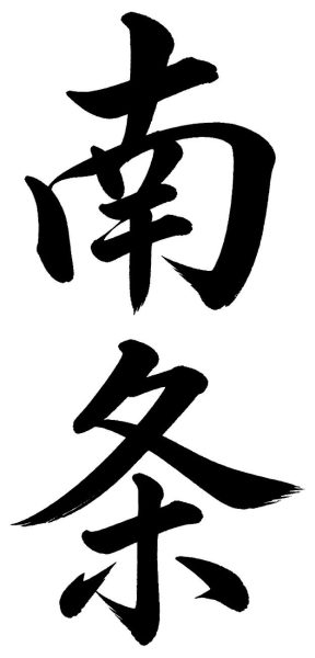 南条