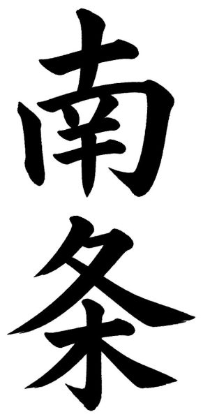 南条