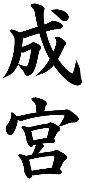 成宮