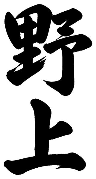 野上