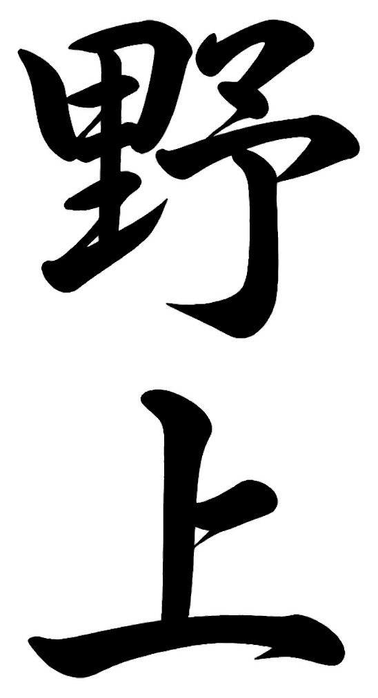 野上