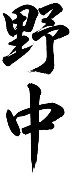 野中