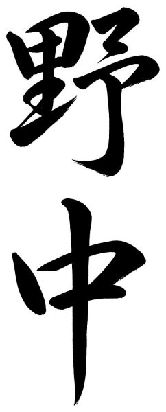 野中