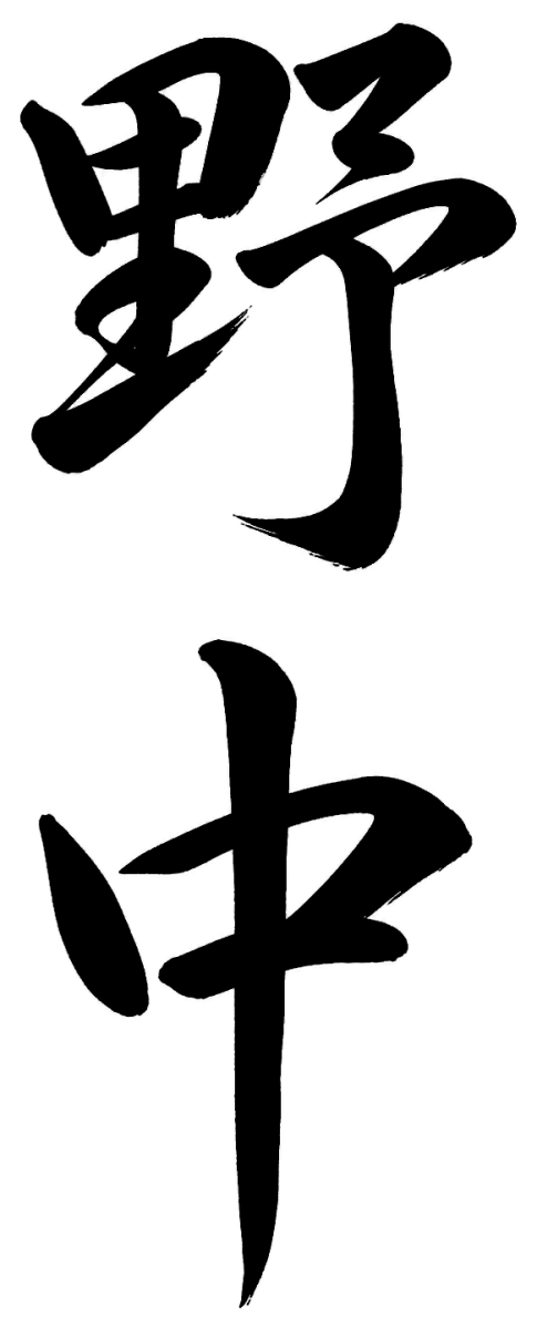 野中