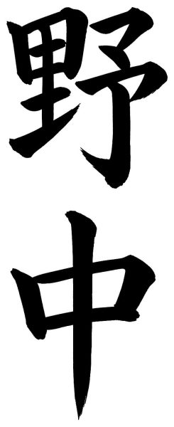 野中
