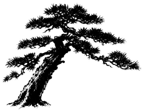 一本松