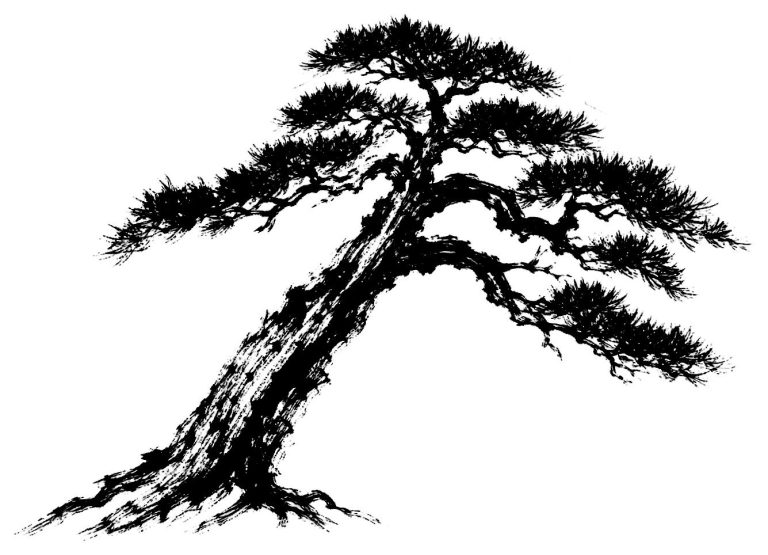 一本松