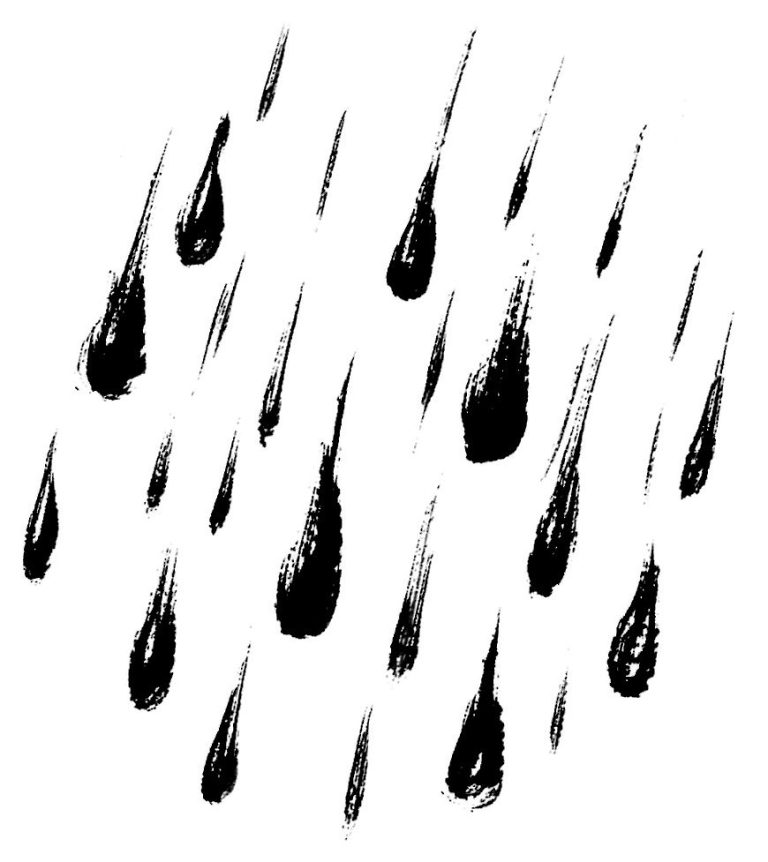 雨粒