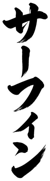 サーフィン