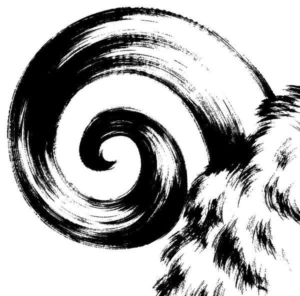 羊の角