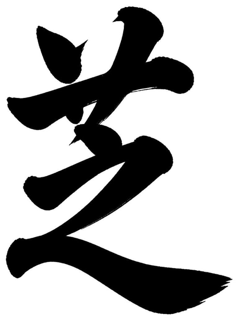 芝