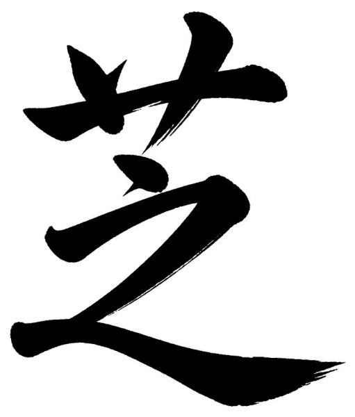 芝