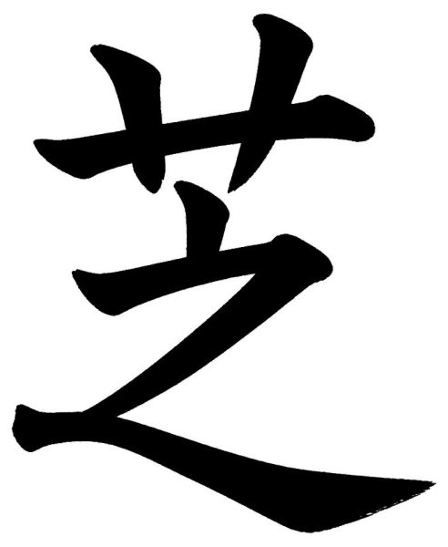 芝