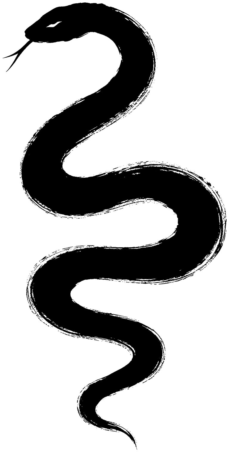 蛇の絵