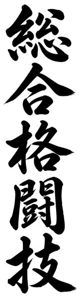 総合格闘技