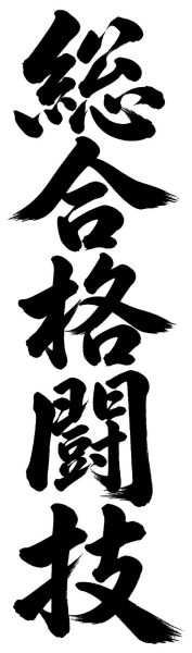 総合格闘技